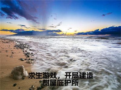 求生游戏，开局建造树屋庇护所（沈星落）全文免费阅读无弹窗大结局_求生游戏，开局建造树屋庇护所（沈星落免费小说）最新章节列表笔趣阁