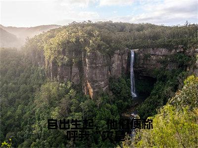 自出生起，他们便称呼我“灾星”全文免费阅读（江聿风宋佳柠免费阅读无弹窗）自出生起，他们便称呼我“灾星”最新章节列表_笔趣阁