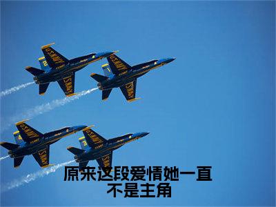 原来这段爱情她一直不是主角全文（苏晚意穆辞年）全文免费阅读无弹窗大结局_原来这段爱情她一直不是主角全文最新章节列表_笔趣阁（苏晚意穆辞年）