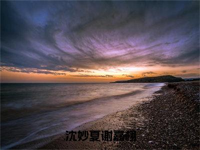 沈妙夏谢嘉栩小说全文免费阅读_沈妙夏谢嘉栩（沈妙夏谢嘉栩）最新章节列表笔趣阁