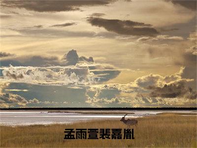 孟雨萱裴嘉胤（孟雨萱裴嘉胤）小说免费在线阅读_孟雨萱裴嘉胤全本免费小说阅读（孟雨萱裴嘉胤）