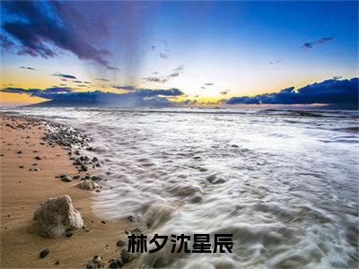 林夕沈星辰全文小说（林夕沈星辰）-完结版热文林夕沈星辰（林夕沈星辰）小说免费阅读