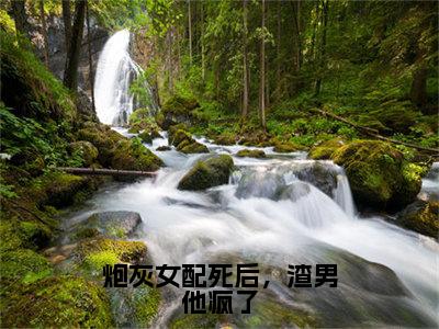 炮灰女配死后，渣男他疯了（宋瑾陆景然）全文免费阅读_（宋瑾陆景然）最新章节列表笔趣阁（宋瑾陆景然）