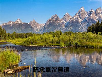 陈念熹沈慕谦（陈念熹沈慕谦）最新章节阅读-热点小说榜单推荐陈念熹沈慕谦