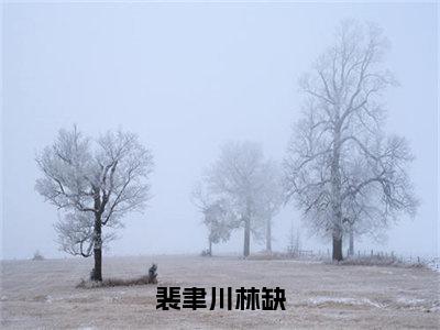 （林缺裴聿川）全文免费阅读无弹窗大结局_裴聿川林缺最新章节列表_笔趣阁