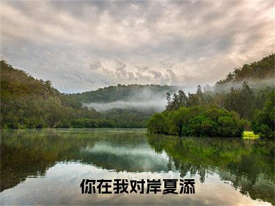 你在我对岸夏添精彩章节免费阅读_（季斯琰夏添）你在我对岸夏添抖音热推小说最新章节阅读