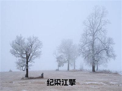 纪染江擎全文（纪染江擎）完整版小说阅读无删减_（纪染江擎）纪染江擎全本列表免费笔趣阁