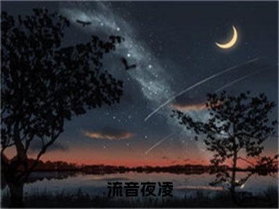 流音夜凌（流音夜凌）小说在线阅读_流音夜凌全本免费小说阅读（流音夜凌）