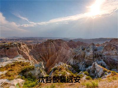 沈若皎裴远安高赞小说（沈若皎裴远安）完结阅读_沈若皎裴远安免费看全文