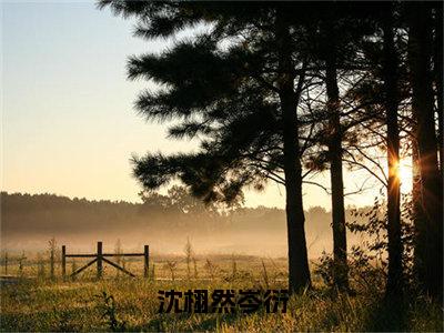 沈栩然岑衍小说沈栩然岑衍完整版全文在线赏析-小说沈栩然岑衍全文大结局已完结