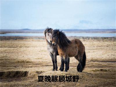 夏晚眠顾城野（夏晚眠顾城野）全文免费阅读无弹窗大结局_夏晚眠顾城野小说全文大结局