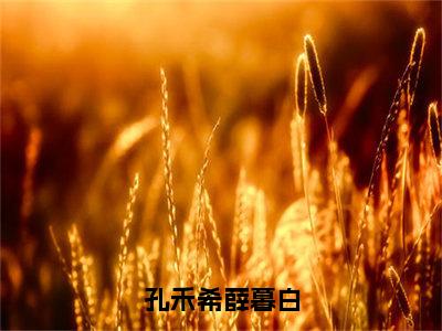 孔禾希薛暮白全文免费阅读_孔禾希薛暮白（孔禾希薛暮白）最新章节列表笔趣阁