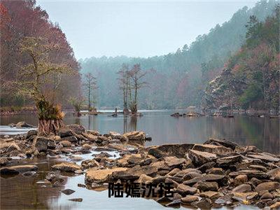 陆嫣沈括（陆嫣沈括）免费阅读无弹窗大结局-陆嫣沈括（最新全章节大结局）全文阅读