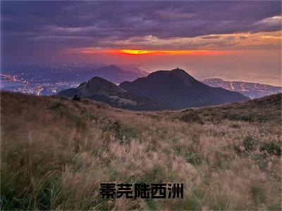 （秦芫陆西洲）是什么小说-（秦芫陆西洲）无弹窗免费阅读大结局最新章节列表_笔趣阁