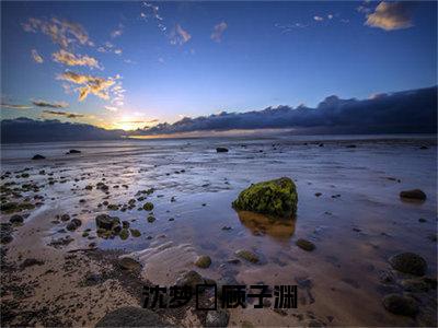 沈梦湉顾子渊抖音新书热荐-沈梦湉顾子渊全文在线赏析（沈梦湉顾子渊）