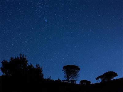 楼爵夜凰（楼爵夜凰）全文免费阅读无弹窗大结局_楼爵夜凰无弹窗最新章节列表_笔趣阁