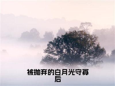 被抛弃的白月光守寡后全文免费阅读_（丛月免费阅读无弹窗）被抛弃的白月光守寡后最新章节列表笔趣阁