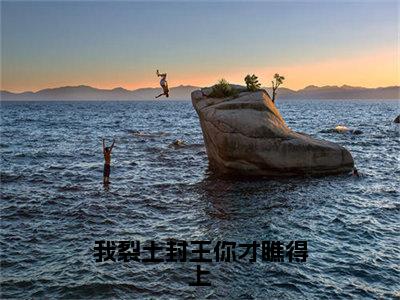 我裂土封王你才瞧得上（萧文进）全文免费阅读无弹窗大结局_我裂土封王你才瞧得上（萧文进）小说全文免费阅读最新章节列表