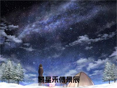 全章节完整《黎星禾傅景辰》全文阅读《黎星禾傅景辰》