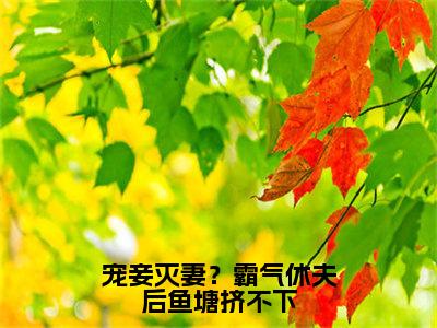 宠妾灭妻？霸气休夫后鱼塘挤不下全文免费阅读无弹窗大结局_（云轻烟）宠妾灭妻？霸气休夫后鱼塘挤不下完整版全文在线赏析