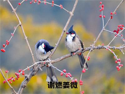 谢燃姜微（谢燃姜微）免费最新小说_谢燃姜微（谢燃姜微）免费版今日已更新