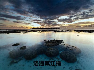 洛海棠江擒在线阅读（江擒洛海棠）全文免费阅读无弹窗大结局_江擒洛海棠最新章节列表笔趣阁（洛海棠江擒）