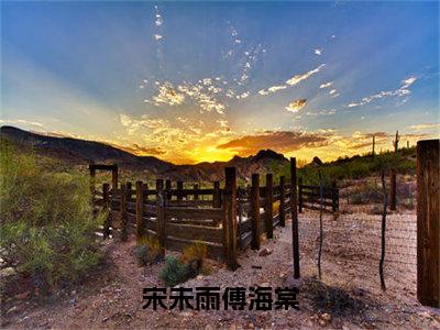 傅海棠宋未雨（宋未雨傅海棠）全文免费阅读无弹窗大结局_宋未雨傅海棠最新章节列表_笔趣阁（傅海棠宋未雨）