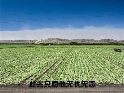 此去只愿他无忧无恙全文免费阅读无弹窗_（虞颐霍惊慕）全文在线阅读大结局