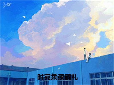 时宛柔夜鹤礼（夜鹤礼时宛柔）小说全文免费阅读无弹窗-时宛柔夜鹤礼全章节在线阅读（夜鹤礼时宛柔免费+后续）