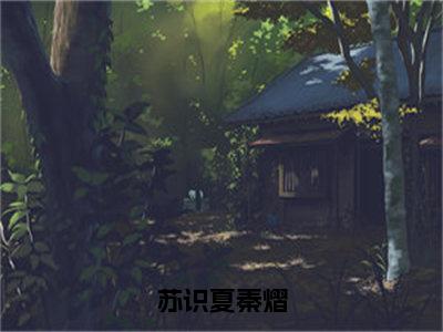 秦熠苏识夏小说（苏识夏秦熠）全文免费阅读无弹窗大结局_苏识夏秦熠小说最新章节列表_笔趣阁（秦熠苏识夏）