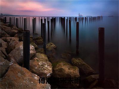 小说傅海棠宋未雨全文免费阅读无弹窗_（宋未雨傅海棠完结）傅海棠宋未雨小说免费阅读无弹窗最新章节列表