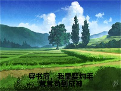 时鸢（穿书后，我靠契约毛茸茸苟到成神）全文免费阅读无弹窗大结局_穿书后，我靠契约毛茸茸苟到成神小说最新章节列表_笔趣阁（时鸢）