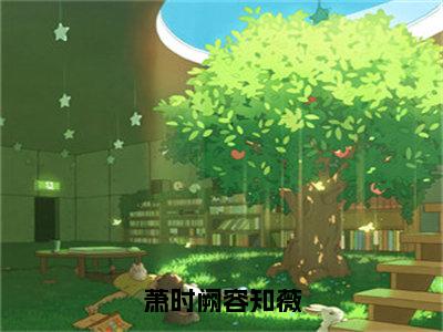 容知薇萧时阙（萧时阙容知薇）全文阅读完整版_萧时阙容知薇小说免费阅读大结局（容知薇萧时阙）