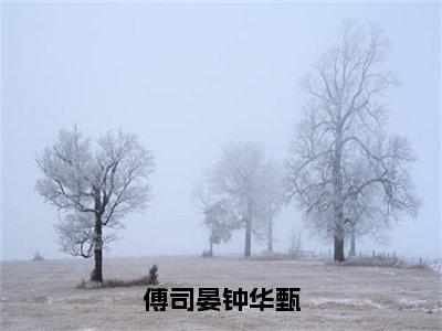 傅司晏钟华甄小说全文免费阅读-（钟华甄傅司晏）抖音新书热荐傅司晏钟华甄全文免费阅读