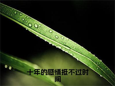 十年的感情抵不过时间小说沈蒲容叶浅舒全文免费阅读（十年的感情抵不过时间已完结）