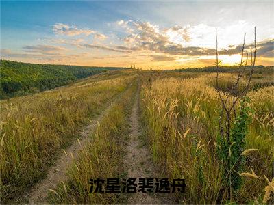 沈星洛裴逸舟（沈星洛裴逸舟）免费全文阅读小说_沈星洛裴逸舟最新章节列表-笔趣阁（沈星洛裴逸舟）