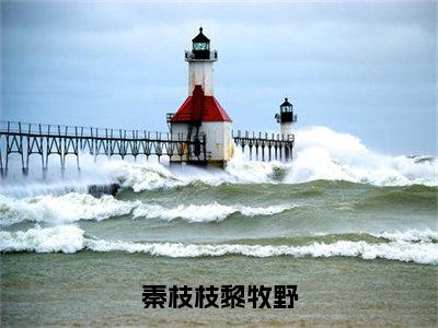 秦枝枝黎牧野是什么小说，秦枝枝黎牧野（秦枝枝黎牧野）完整章节在线阅读