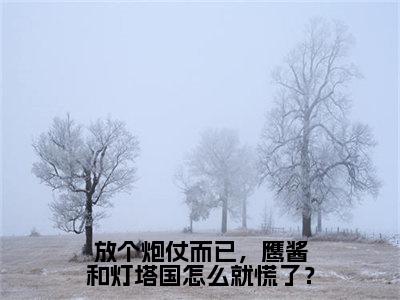 高赞小说放个炮仗而已，鹰酱和灯塔国怎么就慌了？（陆晨）完结阅读_陆晨放个炮仗而已，鹰酱和灯塔国怎么就慌了？免费看全文