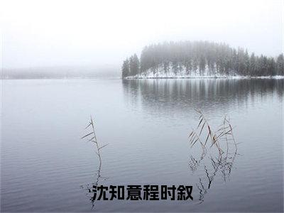 程时叙沈知意小说（沈知意程时叙）全文免费阅读无弹窗大结局_程时叙沈知意（沈知意程时叙）最新章节列表