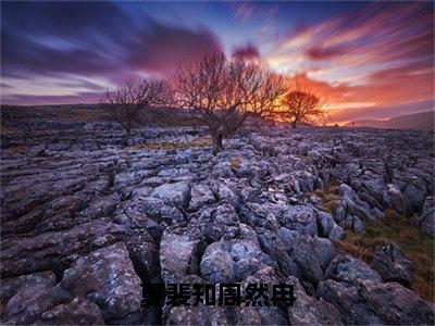 热门小说已完结周然冉夏裴知小说无弹窗大结局_周然冉夏裴知夏裴知周然冉全文阅读大结局