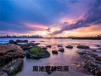 周沁夏林司深（周沁夏林司深）全文免费阅读_周沁夏林司深小说最新章节列表笔趣阁