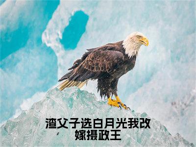 渣父子选白月光我改嫁摄政王阅读无弹窗大结局_薛喻祁淮沉穿越小说免费阅读_笔趣阁