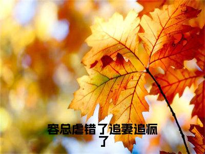 盛云意容斯然全文免费阅读无弹窗-（盛云意容斯然）容总虐错了追妻追疯了小说全文在线阅读笔趣阁