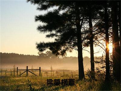 【新书】《梁纂柳薏》全文免费阅读无弹窗大结局-梁纂柳薏全文全章节免费阅读