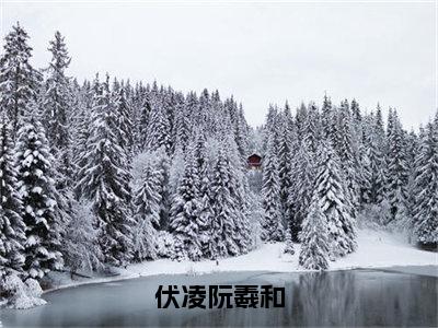 伏凌阮羲和（阮羲和伏凌）免费小说-阮羲和伏凌（伏凌阮羲和）全文精彩章节阅读-笔趣阁