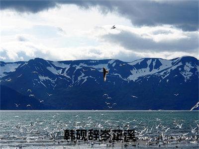 韩砚辞岑芷溪无广告小说免费阅读，韩砚辞岑芷溪岑芷溪韩砚辞完结小说在线阅读