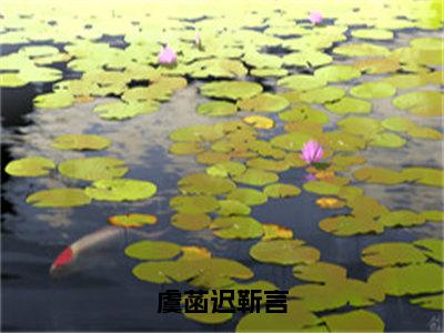 （热推新书）美文摘抄（虞菡迟靳言）主人公为（迟靳言虞菡）的小说虞菡迟靳言大结局全文免费阅读_笔趣阁