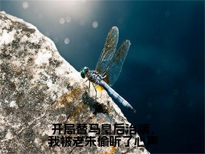 周英（开局替马皇后治病，我被老朱偷听了心声小说）全文免费阅读无弹窗大结局_开局替马皇后治病，我被老朱偷听了心声小说最新章节列表