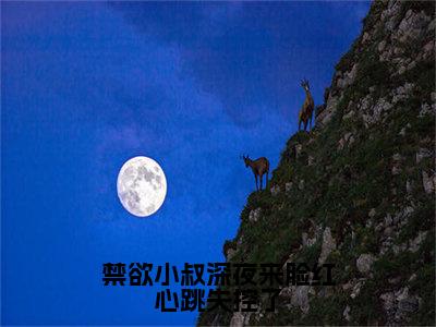 禁欲小叔深夜来脸红心跳失控了（阮念念）小说全文免费_禁欲小叔深夜来脸红心跳失控了（阮念念）最新章节目录笔趣阁