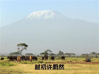 越初许蔚然免费小说（许蔚然越初）全本免费阅读-越初许蔚然最新章节列表